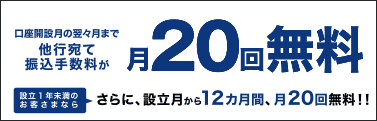 他行宛て 振込手数料が月20回無料 設立1年未満のお客さまならさらに、設立月から12カ月間、月20回無料！！