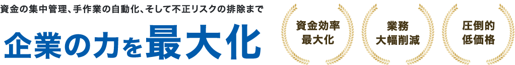 資金の集中管理、手作業の自動化、そして不正リスクの排除まで企業の力を最大化 資金効率最大化 業務大幅削減 圧倒的低価格