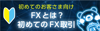 【初めてのお客さま向け】FXとは？初めてのFX取引