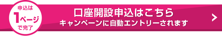 申込は1ページで完了 口座開設申込はこちら