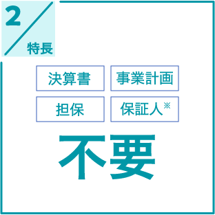 特長2 決算書 事業計画 担保 保証人※