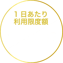 1日あたり利用限度額1,000万円